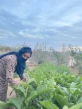 Om Anas in her food garden