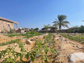 Om Anas food garden