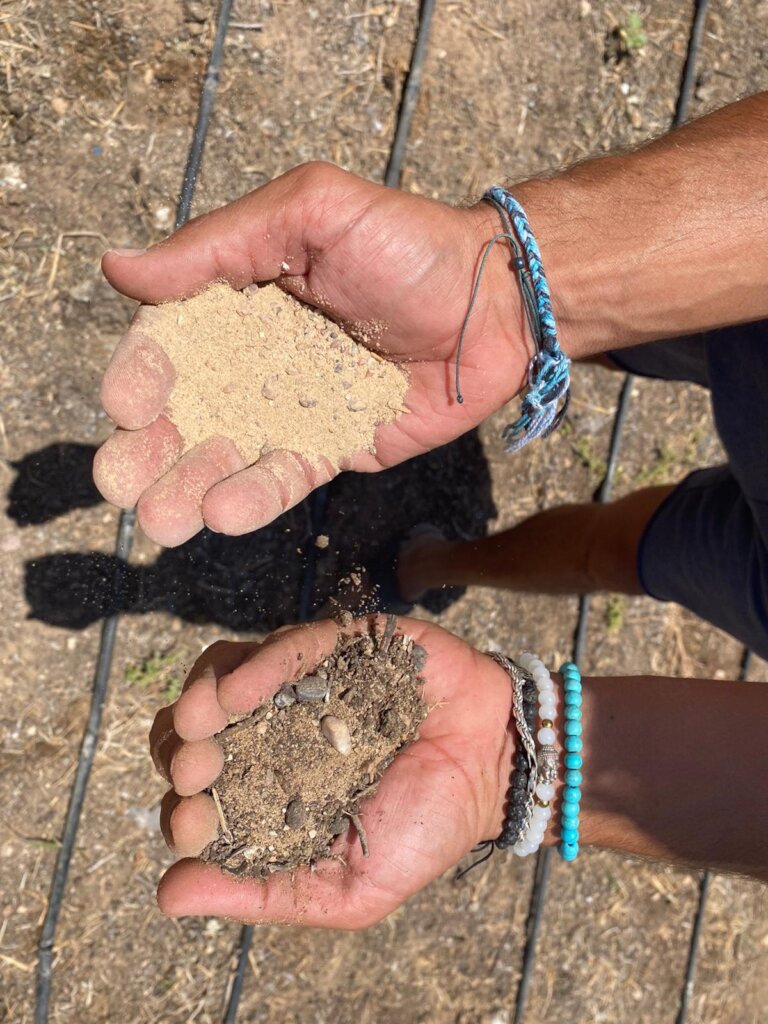 Restoring women-run food gardens in the desert