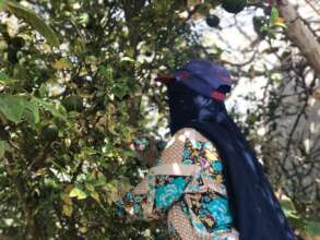Om Talal, a local farmer, in her garden