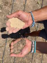The Lab will help women improve their farm soil