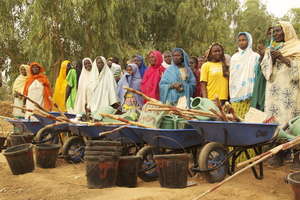 Mari women with wheelbarrels at the ready.