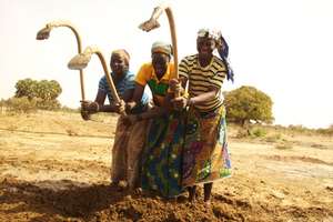 Mentors Kanda, Fosse & Dafani hoe a seed nursery
