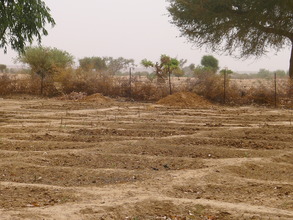 The start of the garden for 99 women