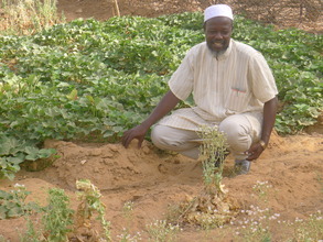 RAIN's Abdou Garba at the Mari School Market Garde
