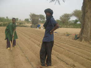 Garden preparation in Tchinteloust