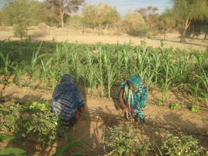 Tadek students in the garden