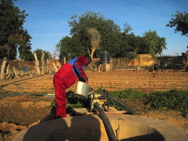 Tagantassou School Director working in garden