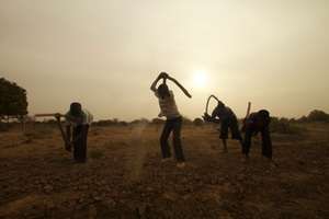 School children breaking the hard clay-soil chunks