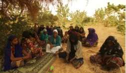 Women's garden meeting - Iferouane 2014