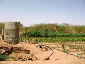 Garden in Tchifiniten