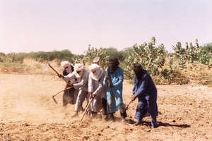 Tilling the Soil
