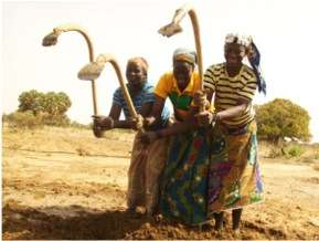 Mentors pitching in for the Tirboye garden