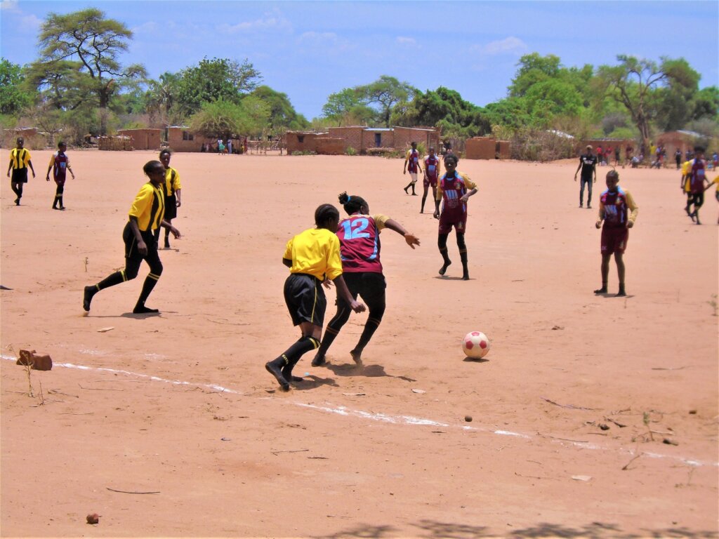 Boys and Men Alliance Project