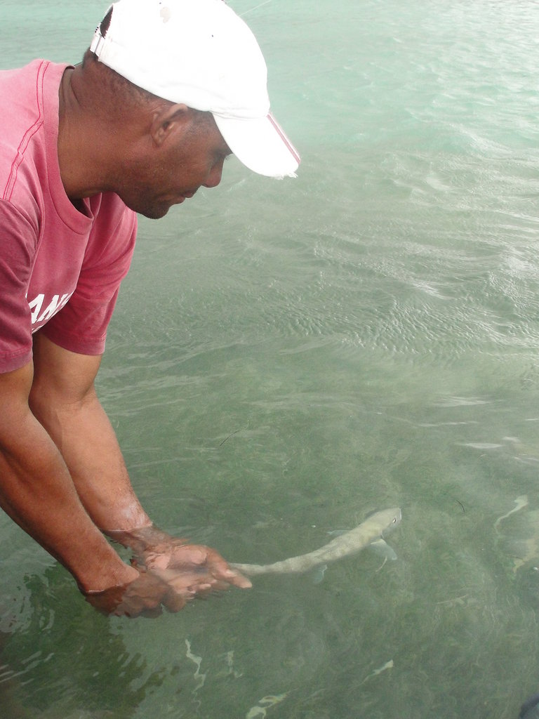 Sustainable Fishing in Punta Cana