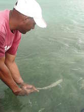 The release!