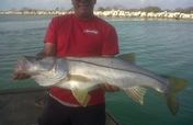 Sustainable Fishing in Punta Cana