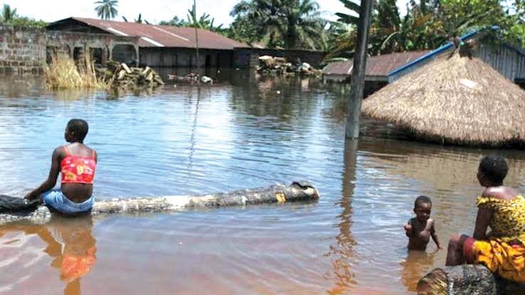 Save Flood Victims in Nigeria from Hunger/Sickness