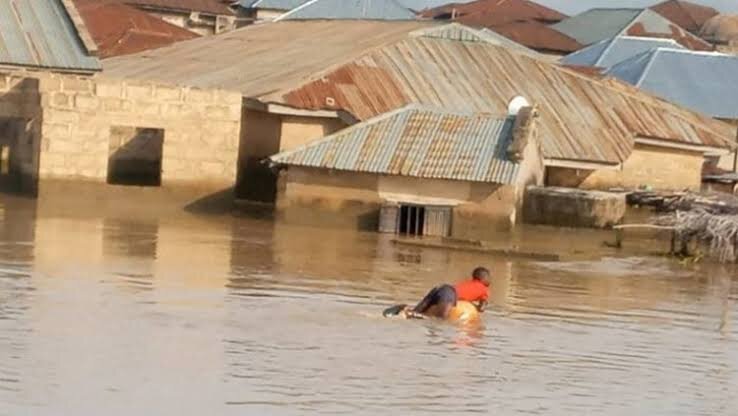 Save Flood Victims in Nigeria from Hunger/Sickness