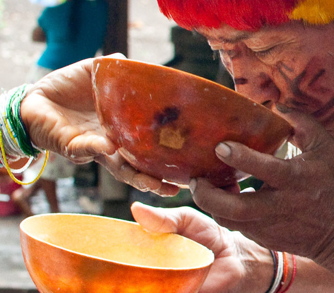 Protect the rainforest & indigenous rights in Peru