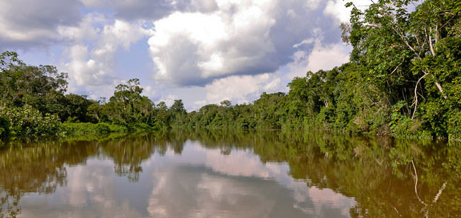 Protect the rainforest & indigenous rights in Peru