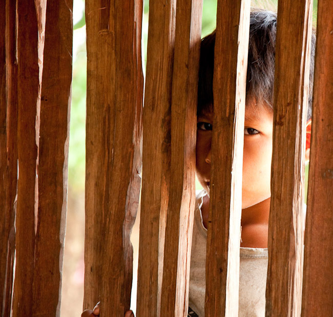 Protect the rainforest & indigenous rights in Peru