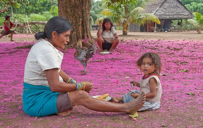 Protect the rainforest & indigenous rights in Peru