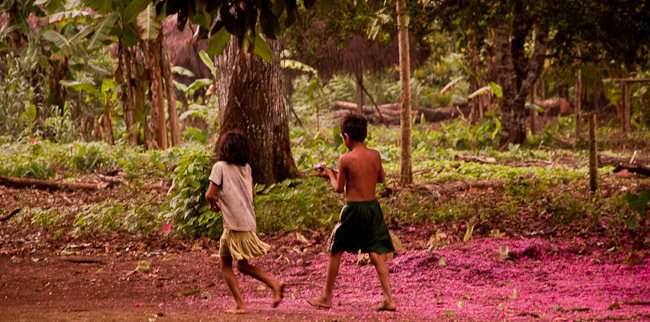 Protect the rainforest & indigenous rights in Peru