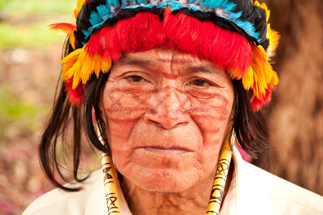 Protect the rainforest & indigenous rights in Peru