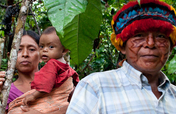 Protect the rainforest & indigenous rights in Peru