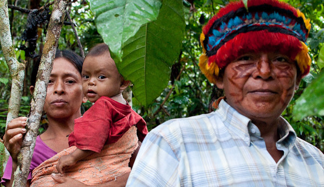 Protect the rainforest & indigenous rights in Peru