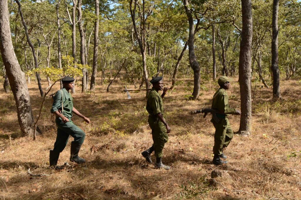Support Kasanka National Park's Wildlife Rangers