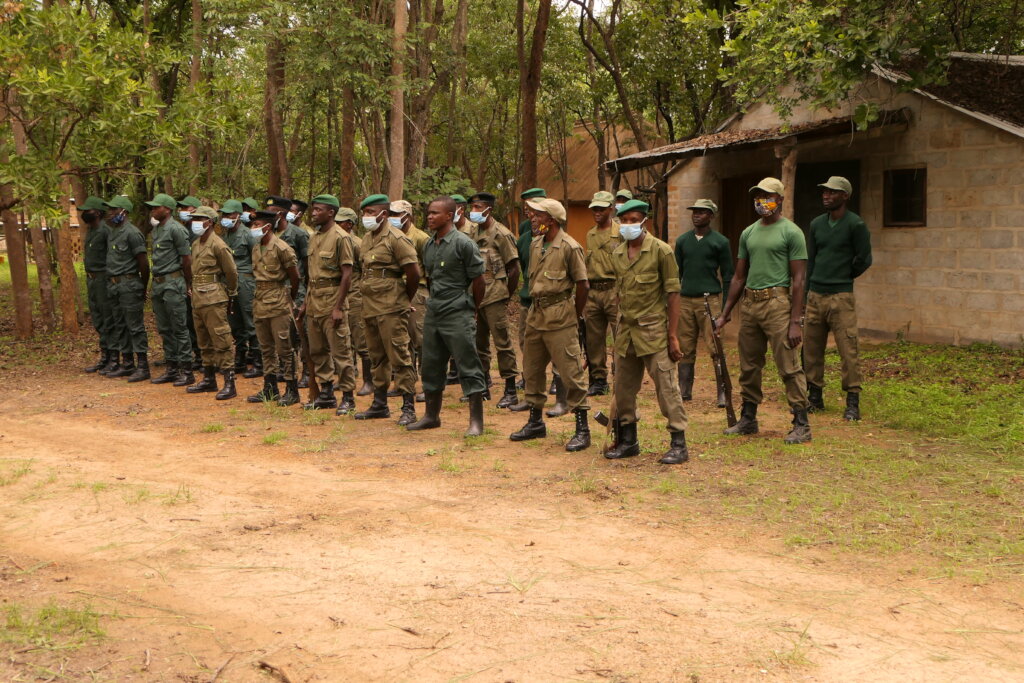 Support Kasanka National Park's Wildlife Rangers