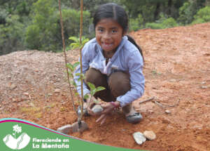 Girl in reforestation day