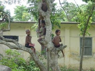 Send 100 Children to Pre-School in Bangladesh