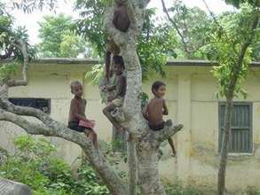 CDS Children at Play During Recess