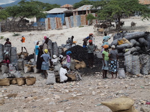 Haitian Charcoal Market