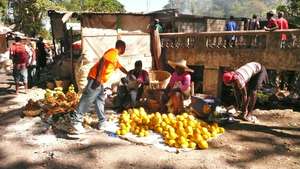 ZPB Clean Cookstove in the Market
