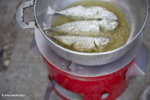 Cooking Fish
