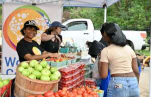 A free farmers market in Gary serves fresh produce