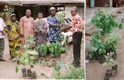   Planting 5,000 trees in 5 villages in Nigeria 