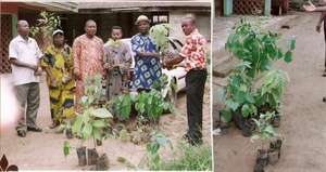 Planting 5,000 trees in 5 villages in Nigeria