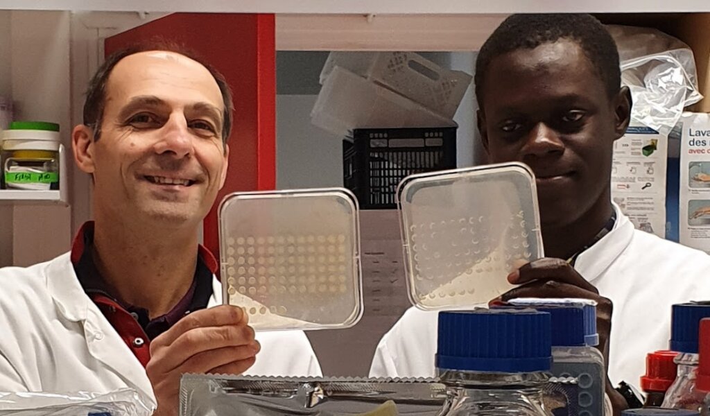 Laurent and Issa working in the laboratory