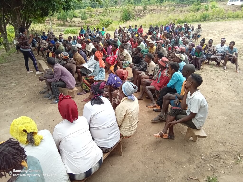 Consensus and launch meeting