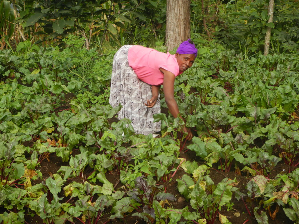 Clean Water & New Skills for Uba Dama