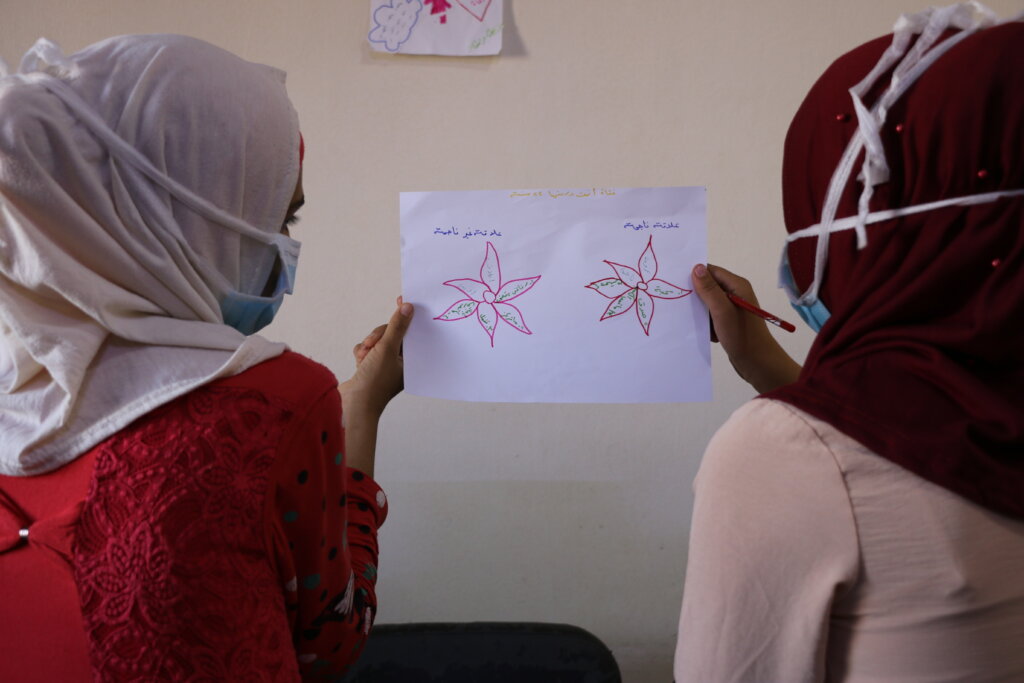 Protect & Empower Syria's At-Risk Teen Girls