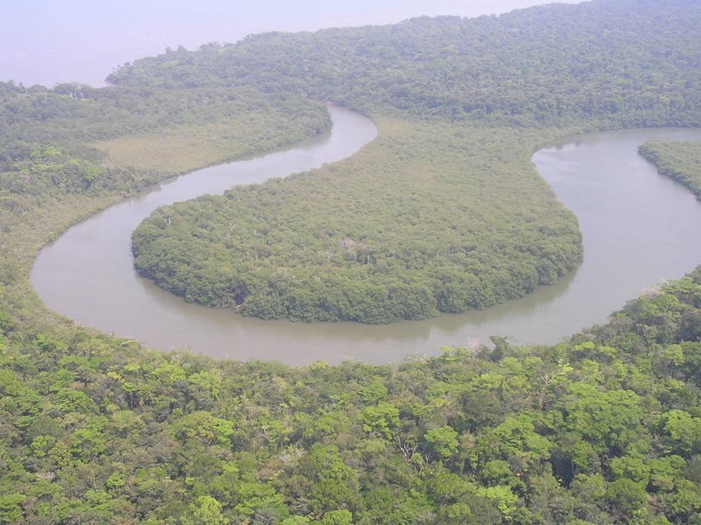 Help avert ecological disaster threatening Belize!