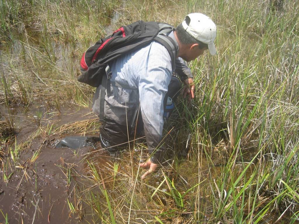 Help avert ecological disaster threatening Belize!
