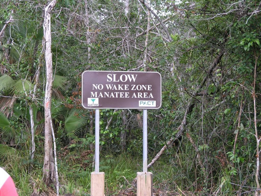 Help avert ecological disaster threatening Belize!