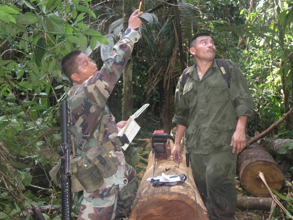 Help avert ecological disaster threatening Belize!